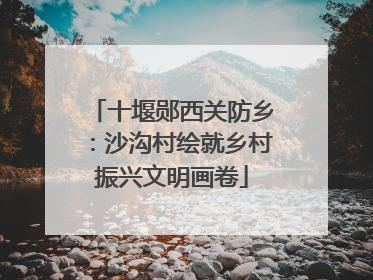 十堰郧西关防乡：沙沟村绘就乡村振兴文明画卷