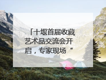 十堰首届收藏艺术品交流会开启，专家现场“掌眼”