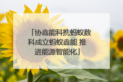 协鑫能科携蚂蚁数科成立蚂蚁鑫能 推进能源智能化