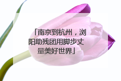 南京到杭州，浏阳助残团用脚步丈量美好世界