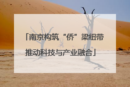 南京构筑“侨”梁纽带推动科技与产业融合