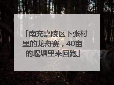 南充嘉陵区下张村里的龙舟赛，40亩的堰塘里来回跑