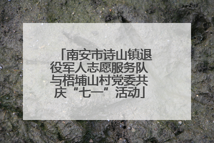 南安市诗山镇退役军人志愿服务队与梧埔山村党委共庆“七一”活动