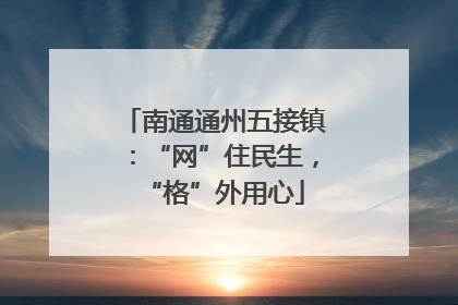 南通通州五接镇：“网”住民生，“格”外用心