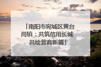 南阳市宛城区黄台岗镇：共筑信用长城 共绘营商新篇