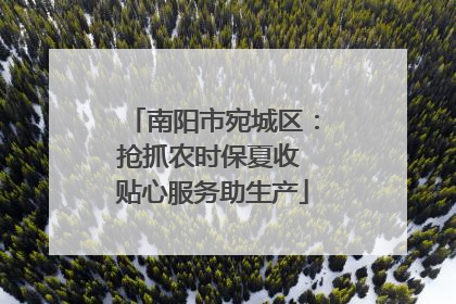南阳市宛城区：抢抓农时保夏收 贴心服务助生产
