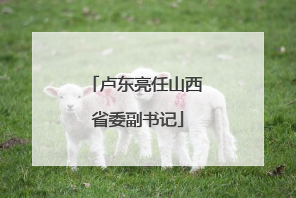 卢东亮任山西省委副书记