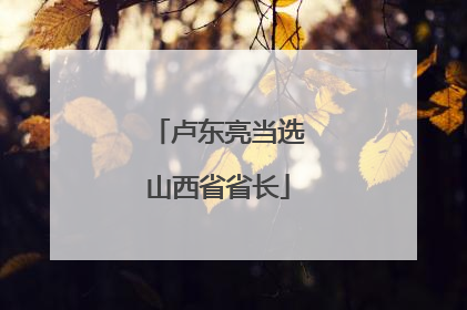 卢东亮当选山西省省长