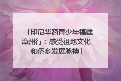 印尼华裔青少年福建漳州行：感受祖地文化和侨乡发展脉搏