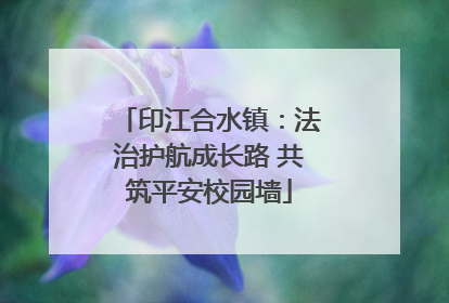 印江合水镇：法治护航成长路 共筑平安校园墙