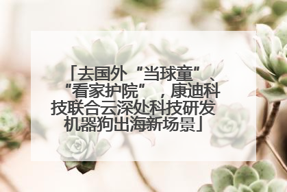 去国外“当球童”、“看家护院”，康迪科技联合云深处科技研发机器狗出海新场景