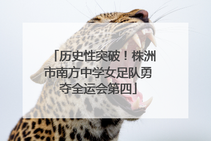 历史性突破！株洲市南方中学女足队勇夺全运会第四