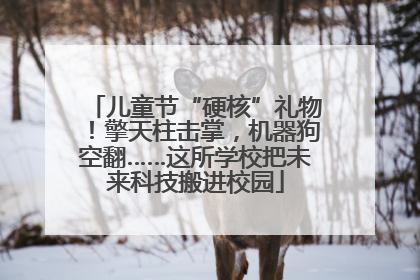儿童节“硬核”礼物！擎天柱击掌，机器狗空翻……这所学校把未来科技搬进校园