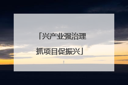 兴产业强治理 抓项目促振兴