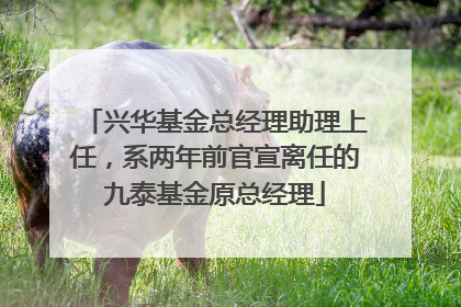 兴华基金总经理助理上任，系两年前官宣离任的九泰基金原总经理