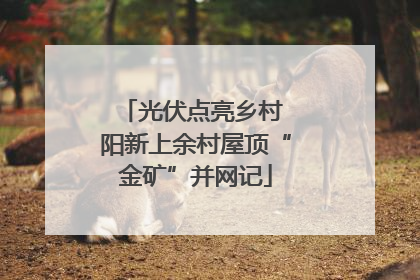 光伏点亮乡村 阳新上余村屋顶“金矿”并网记