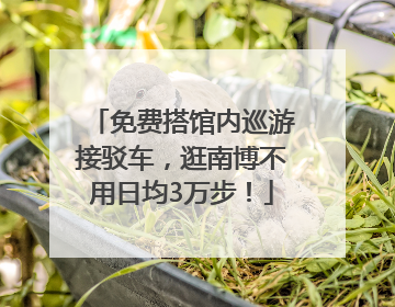 免费搭馆内巡游接驳车，逛南博不用日均3万步！
