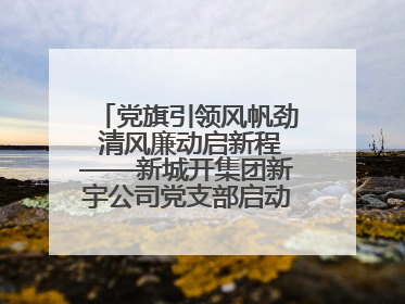 党旗引领风帆劲 清风廉动启新程——新城开集团新宇公司党支部启动“清风廉动党旗红”系列活动