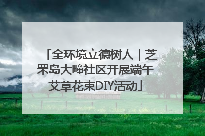 全环境立德树人｜芝罘岛大疃社区开展端午艾草花束DIY活动