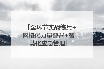 全环节实战练兵+网格化力量部署+智慧化应急管理