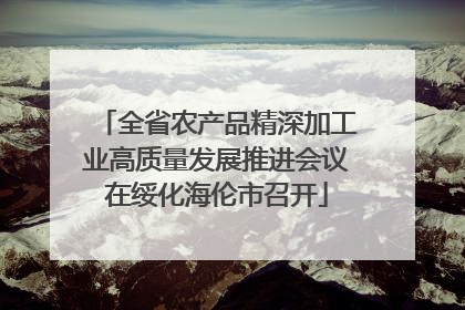 全省农产品精深加工业高质量发展推进会议在绥化海伦市召开