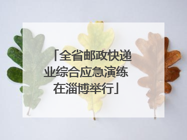 全省邮政快递业综合应急演练在淄博举行