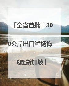 全省首批！300公斤出口鲜杨梅飞赴新加坡
