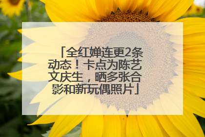 全红婵连更2条动态！卡点为陈艺文庆生，晒多张合影和新玩偶照片