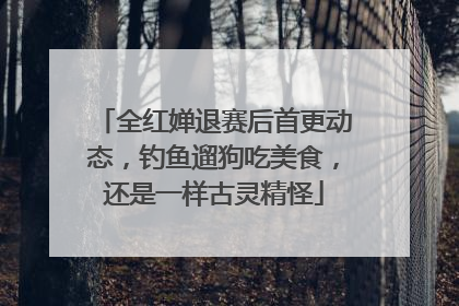全红婵退赛后首更动态，钓鱼遛狗吃美食，还是一样古灵精怪
