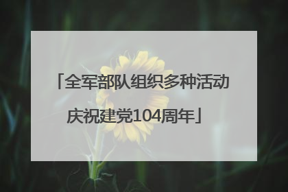 全军部队组织多种活动庆祝建党104周年