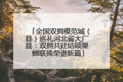全国双拥模范城（县）巡礼河北省大厂县：双拥共建结硕果 蝉联殊荣谱新篇