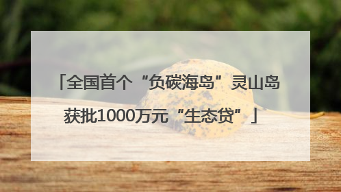 全国首个“负碳海岛”灵山岛获批1000万元“生态贷”