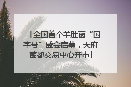 全国首个羊肚菌“国字号”盛会启幕，天府菌都交易中心开市