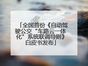 全国首份《自动驾驶公交“车路云一体化”系统联调导则》白皮书发布