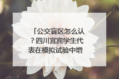 公交盲区怎么认？四川宜宾学生代表在模拟试验中增强乘车安全意识