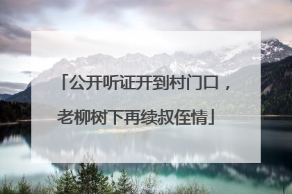 公开听证开到村门口，老柳树下再续叔侄情