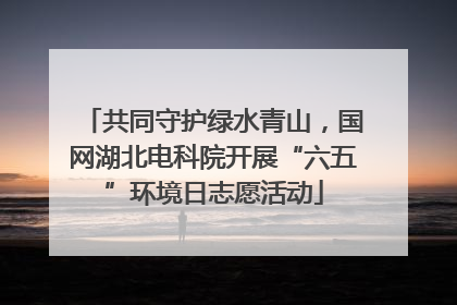 共同守护绿水青山，国网湖北电科院开展“六五”环境日志愿活动