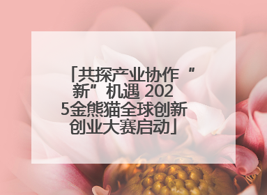 共探产业协作“新”机遇 2025金熊猫全球创新创业大赛启动