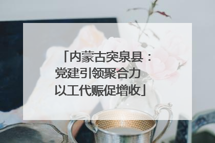 内蒙古突泉县：党建引领聚合力 以工代赈促增收