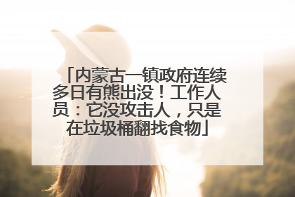 内蒙古一镇政府连续多日有熊出没！工作人员：它没攻击人，只是在垃圾桶翻找食物