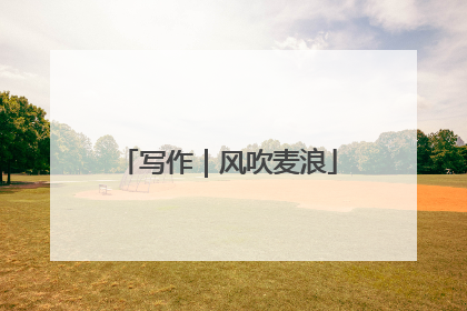 写作｜风吹麦浪