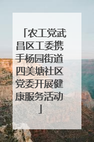 农工党武昌区工委携手杨园街道四美塘社区党委开展健康服务活动