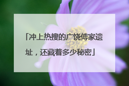 冲上热搜的广饶傅家遗址，还藏着多少秘密