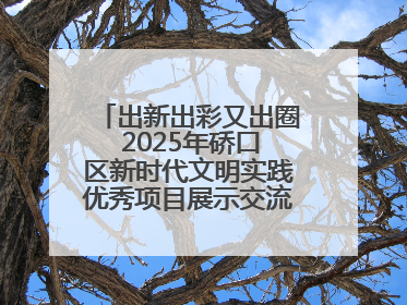出新出彩又出圈 2025年硚口区新时代文明实践优秀项目展示交流活动举行