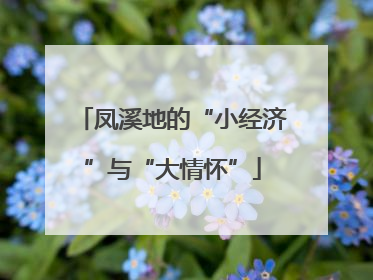 凤溪地的“小经济”与“大情怀”