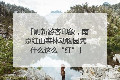 刷新游客印象，南京红山森林动物园凭什么这么“红”