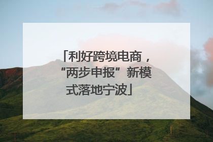 利好跨境电商，“两步申报”新模式落地宁波