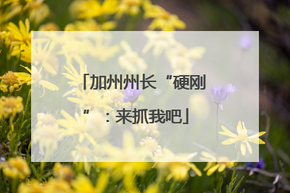 加州州长“硬刚”：来抓我吧
