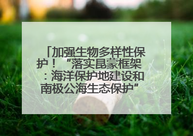 加强生物多样性保护！“落实昆蒙框架：海洋保护地建设和南极公海生态保护”主题论坛将举办
