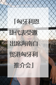 匈牙利恩捷代表受邀出席海南自贸港匈牙利推介会